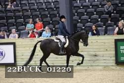 22BUCK_01220 proof