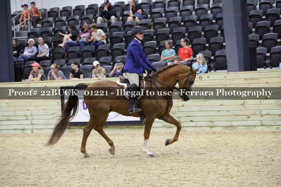 Proof 22BUCK_01221