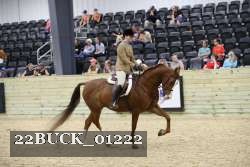 22BUCK_01222 proof