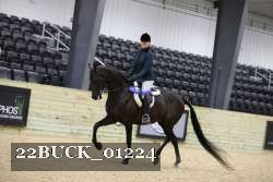 22BUCK_01224 proof