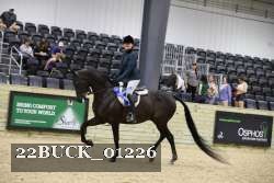 22BUCK_01226 proof