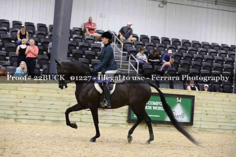 Proof 22BUCK_01227