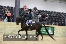 22BUCK_01227 proof