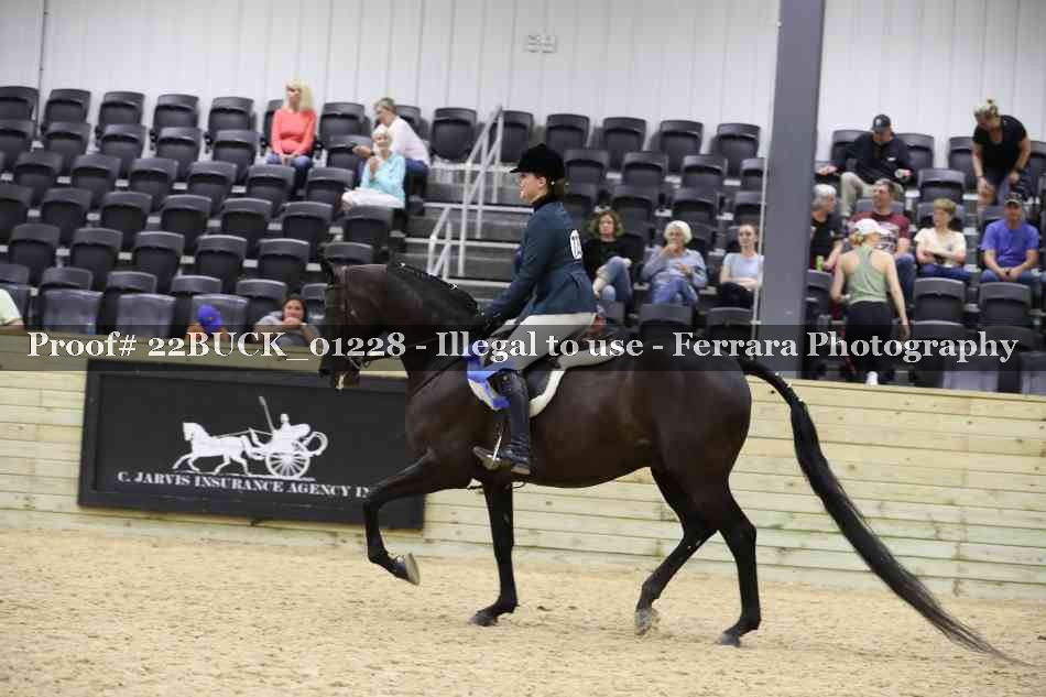 Proof 22BUCK_01228