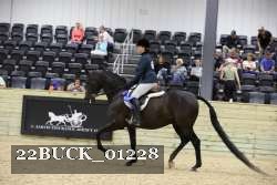22BUCK_01228 proof