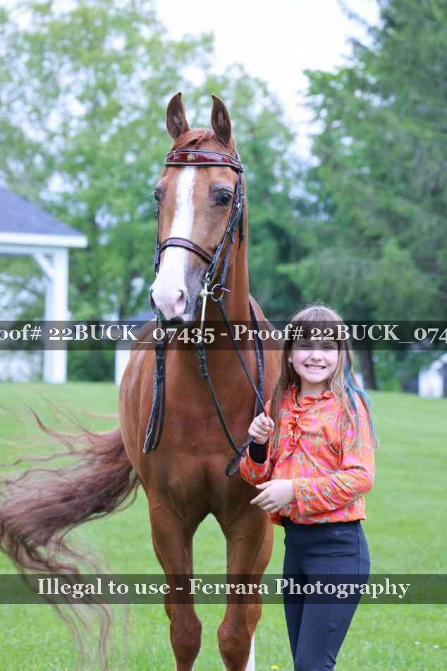 Proof 22BUCK_07435