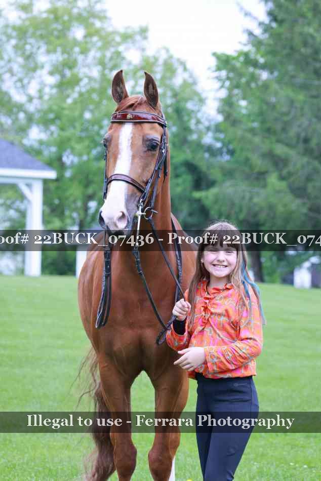 Proof 22BUCK_07436