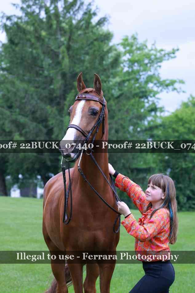 Proof 22BUCK_07440