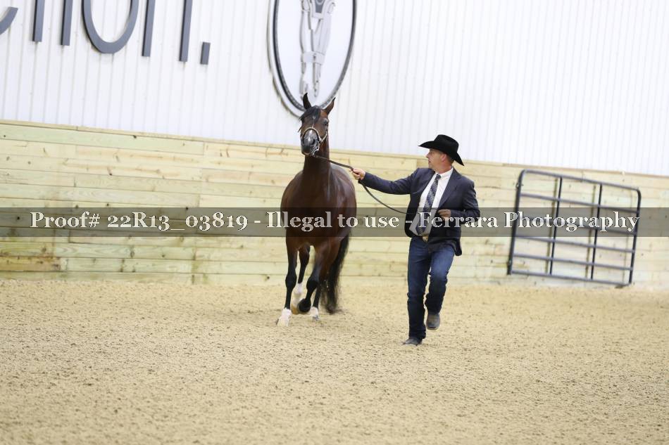 Proof 22R13_03819
