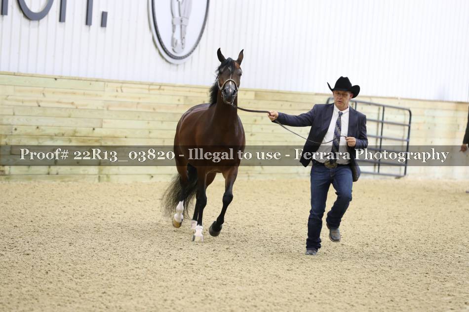 Proof 22R13_03820