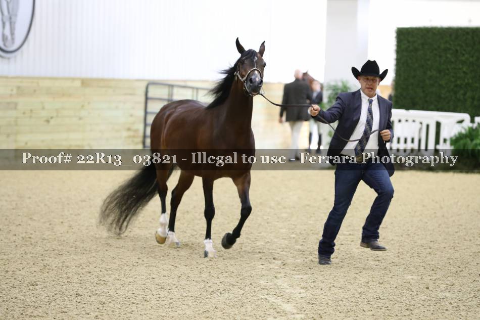 Proof 22R13_03821