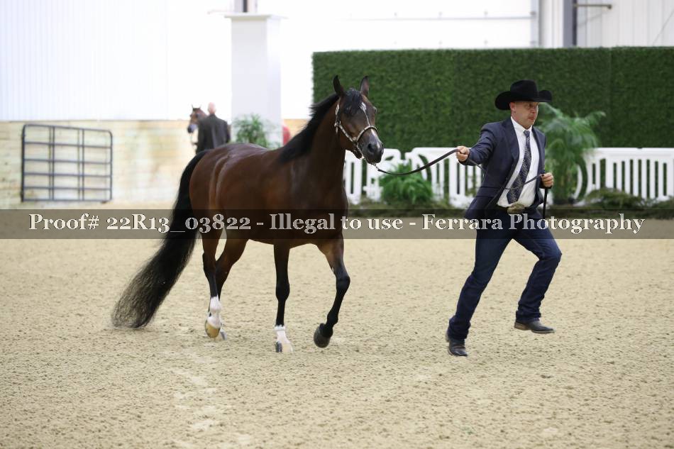 Proof 22R13_03822