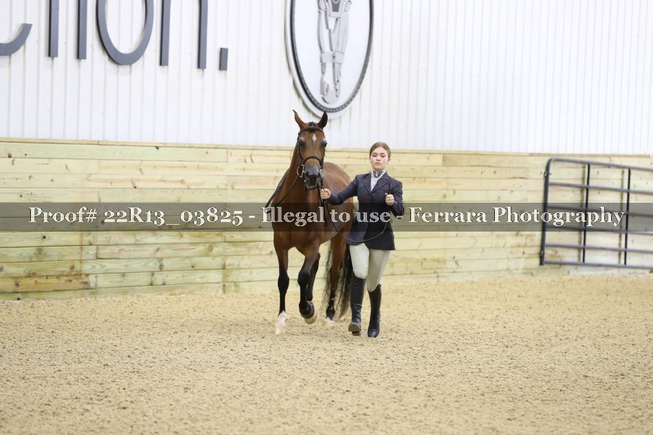 Proof 22R13_03825