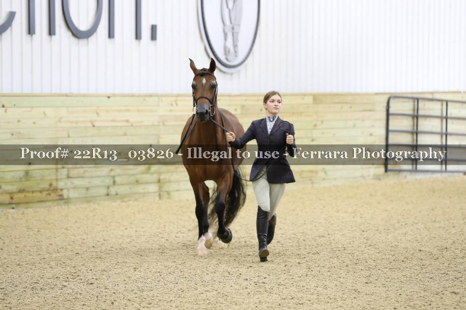 Proof 22R13_03826