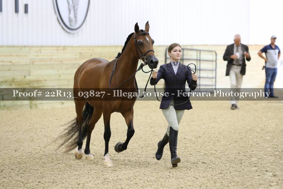 Proof 22R13_03827
