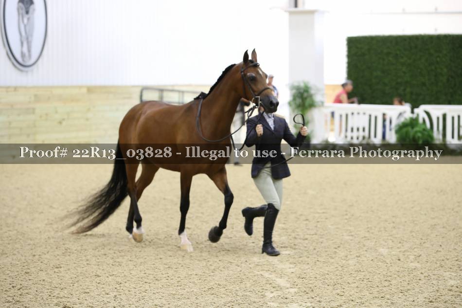 Proof 22R13_03828