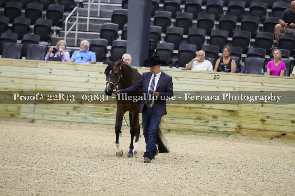 Proof 22R13_03831