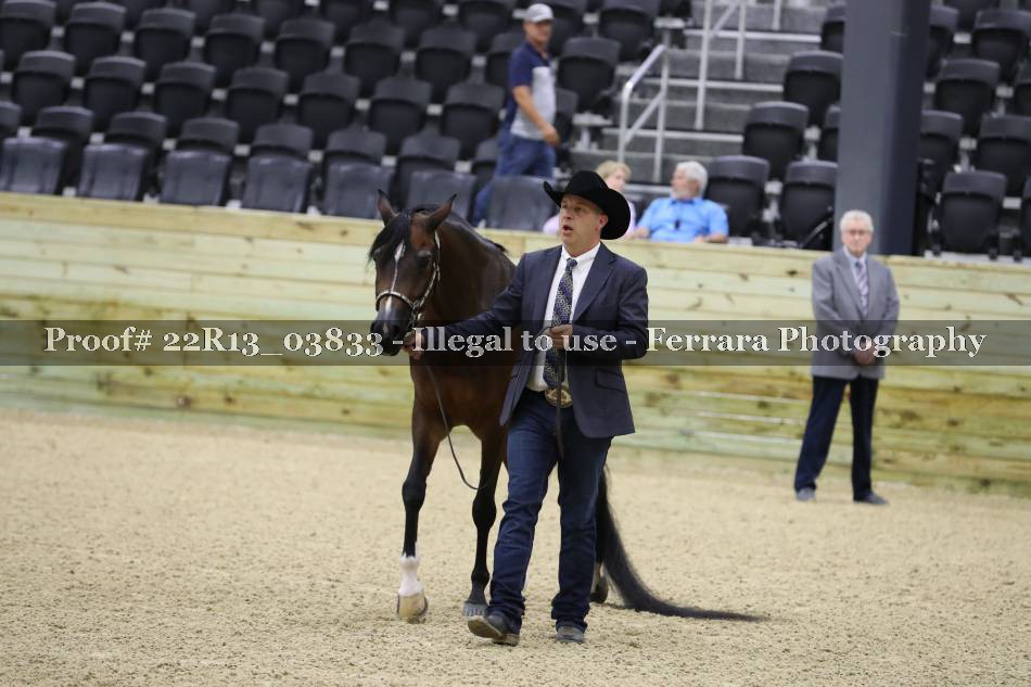 Proof 22R13_03833