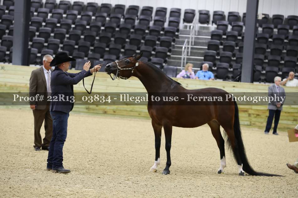 Proof 22R13_03834
