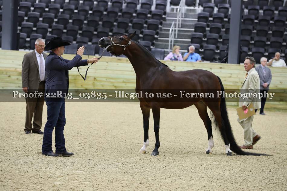 Proof 22R13_03835