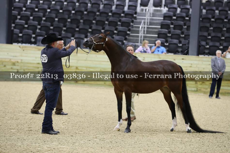 Proof 22R13_03836
