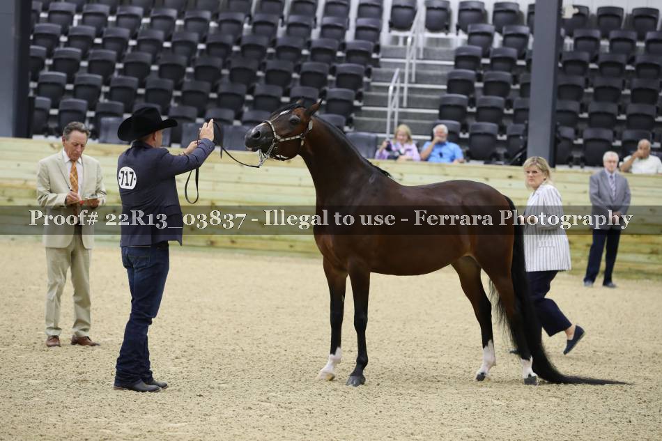 Proof 22R13_03837