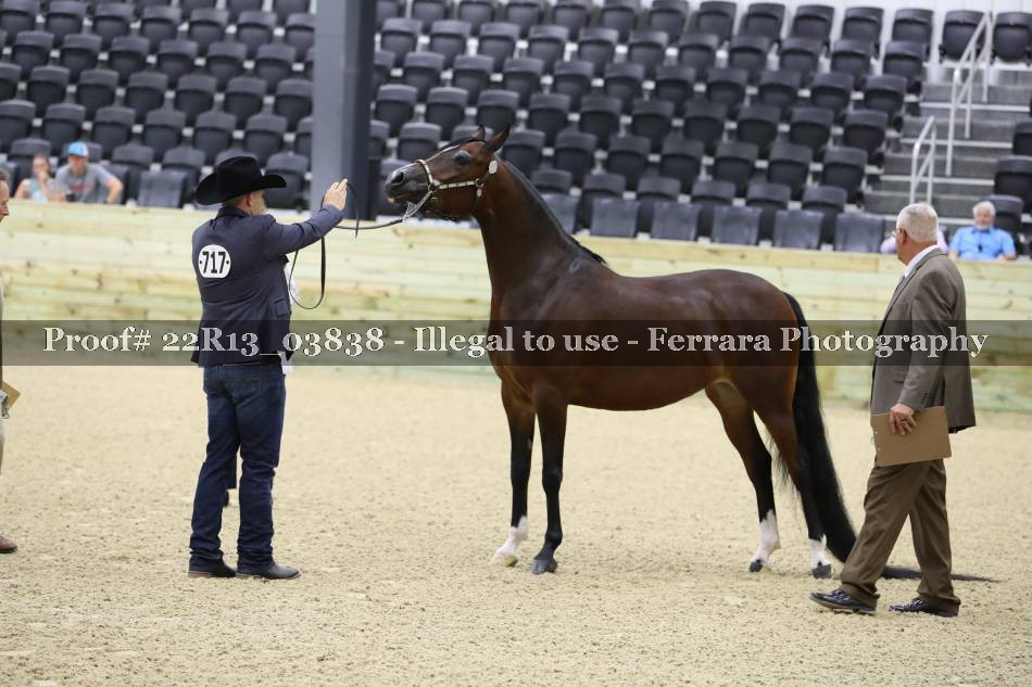 Proof 22R13_03838
