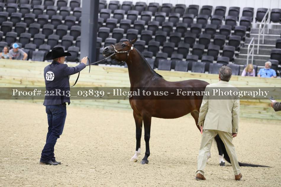 Proof 22R13_03839