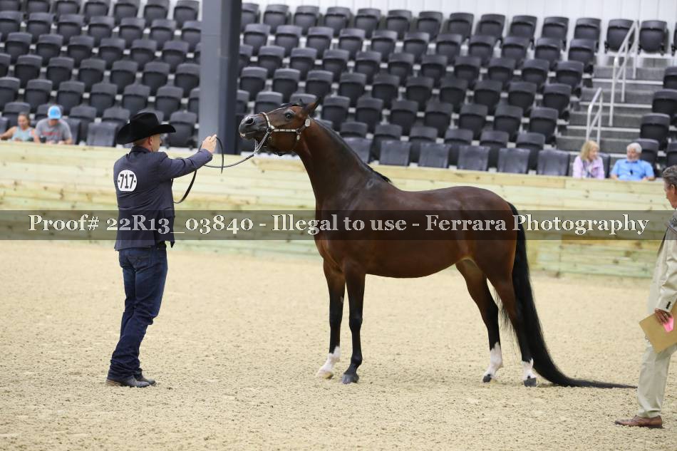 Proof 22R13_03840