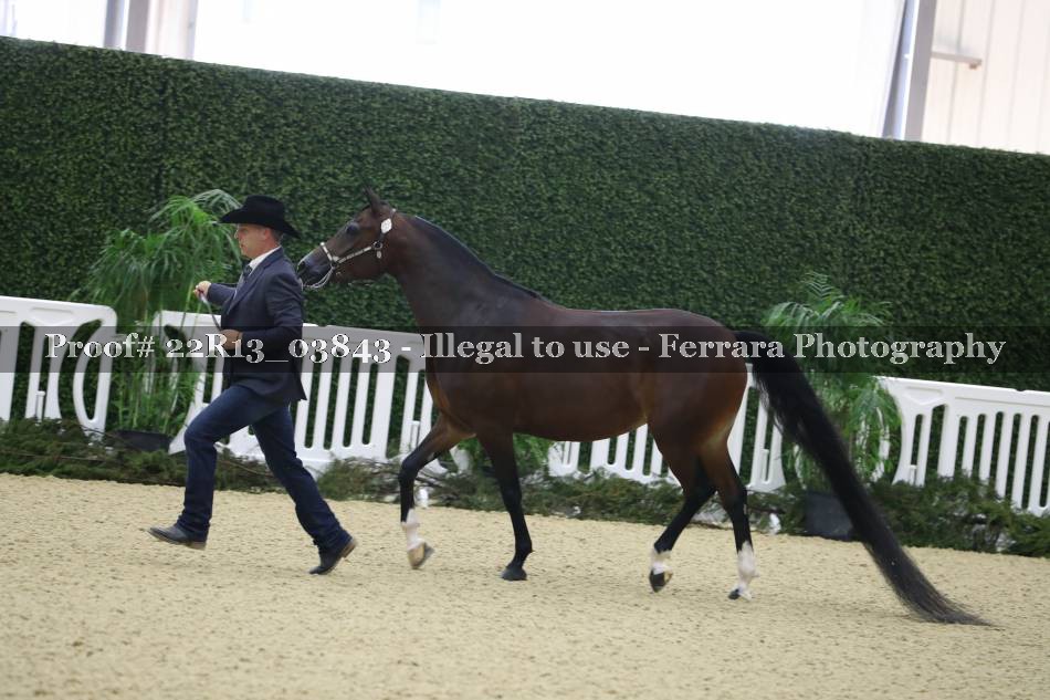 Proof 22R13_03843