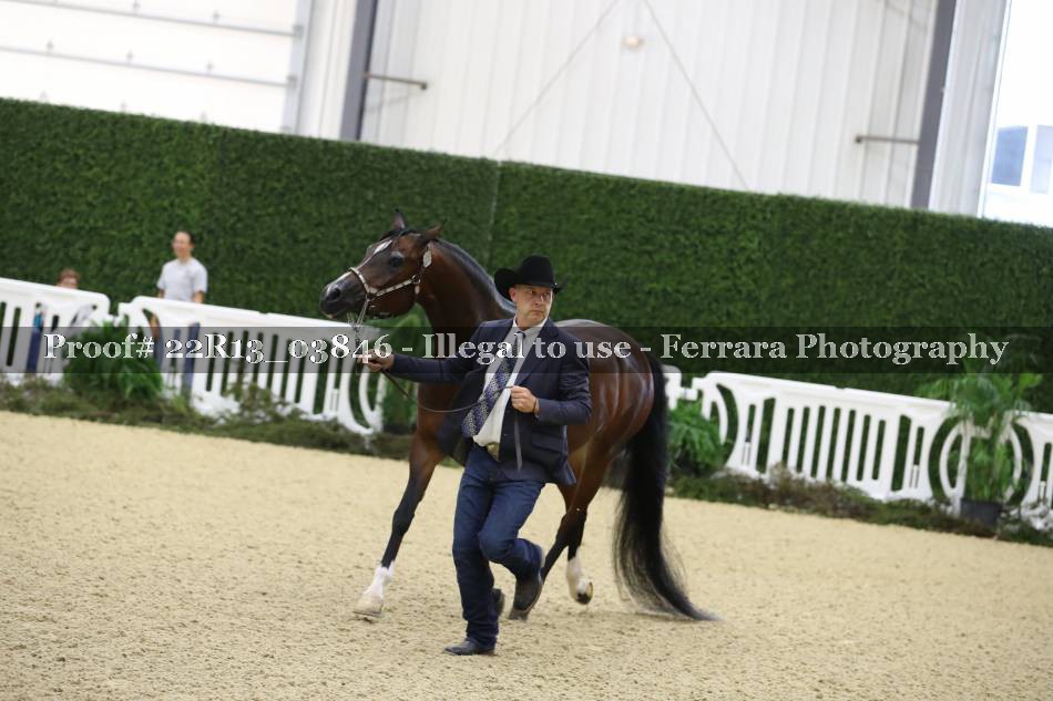 Proof 22R13_03846