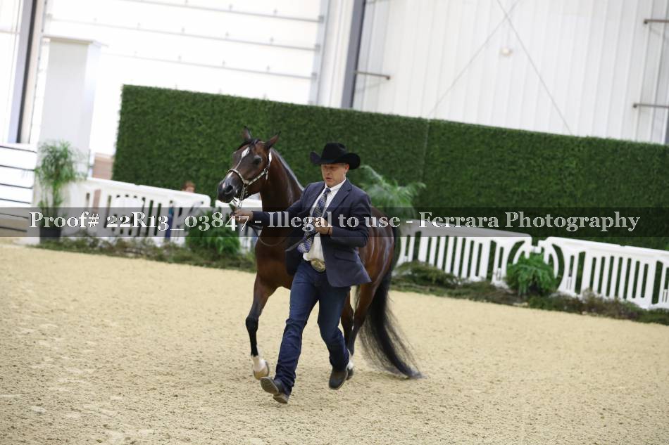 Proof 22R13_03847