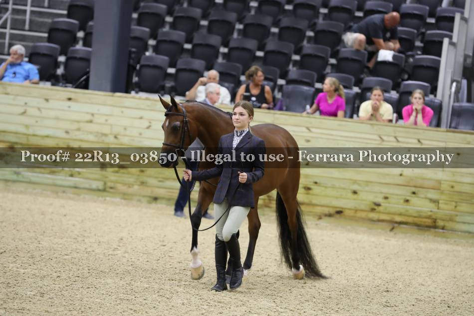Proof 22R13_03850
