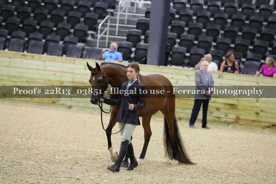 Proof 22R13_03851
