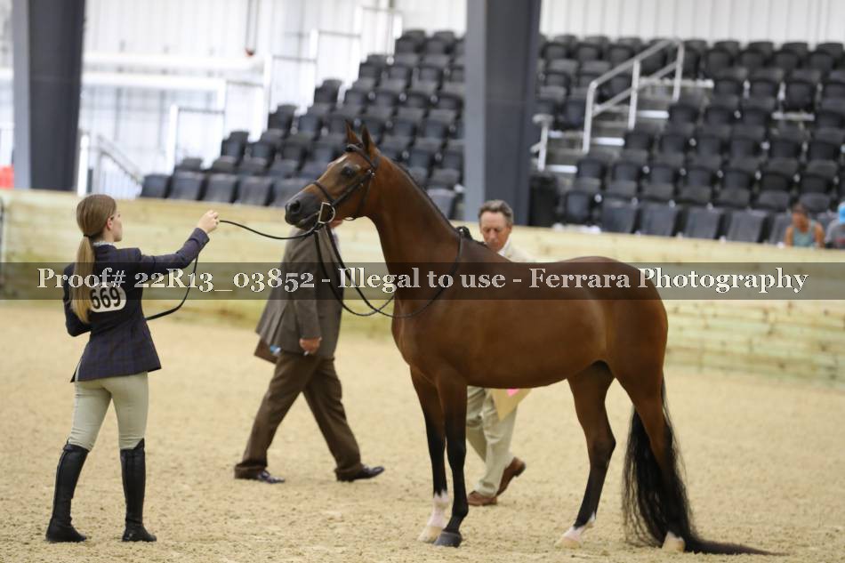 Proof 22R13_03852