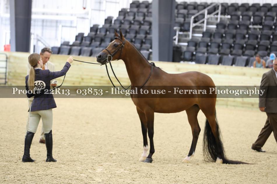 Proof 22R13_03853
