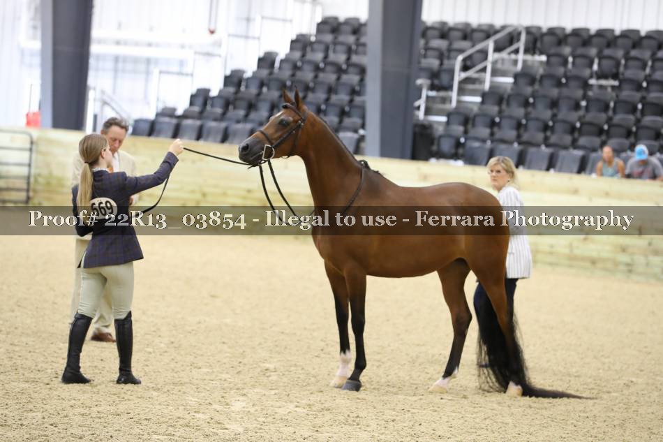 Proof 22R13_03854