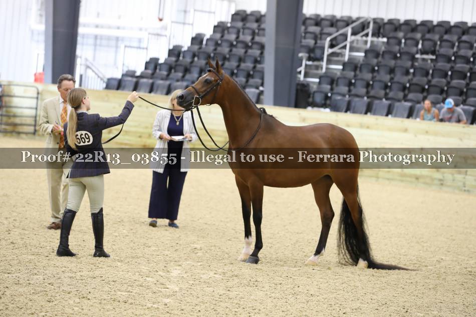 Proof 22R13_03855