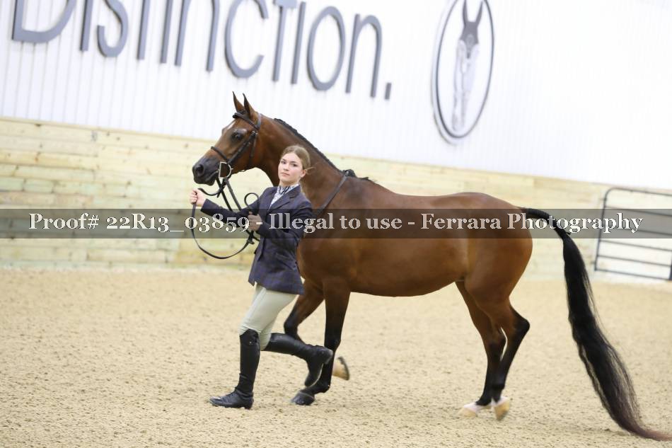 Proof 22R13_03859
