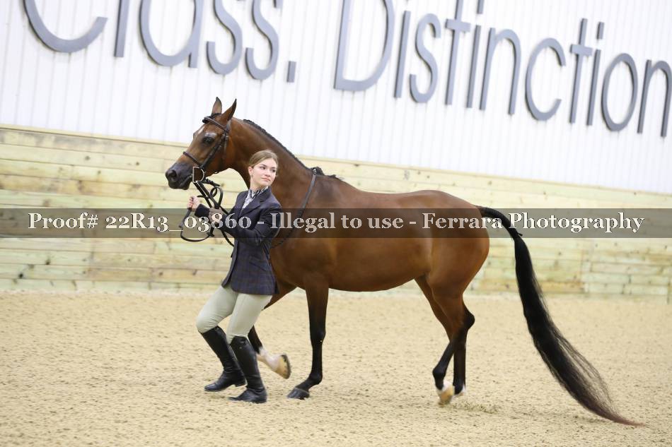 Proof 22R13_03860