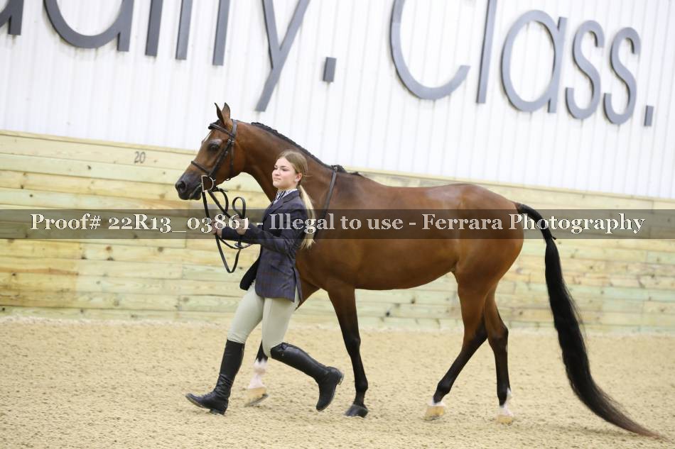 Proof 22R13_03861