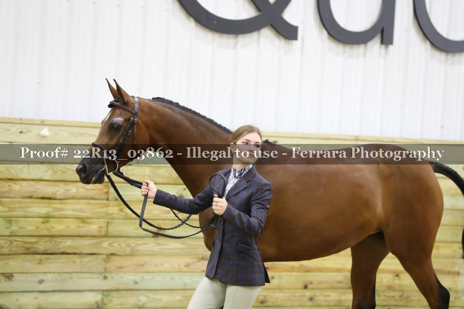 Proof 22R13_03862