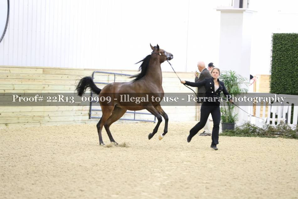 Proof 22R13_00909