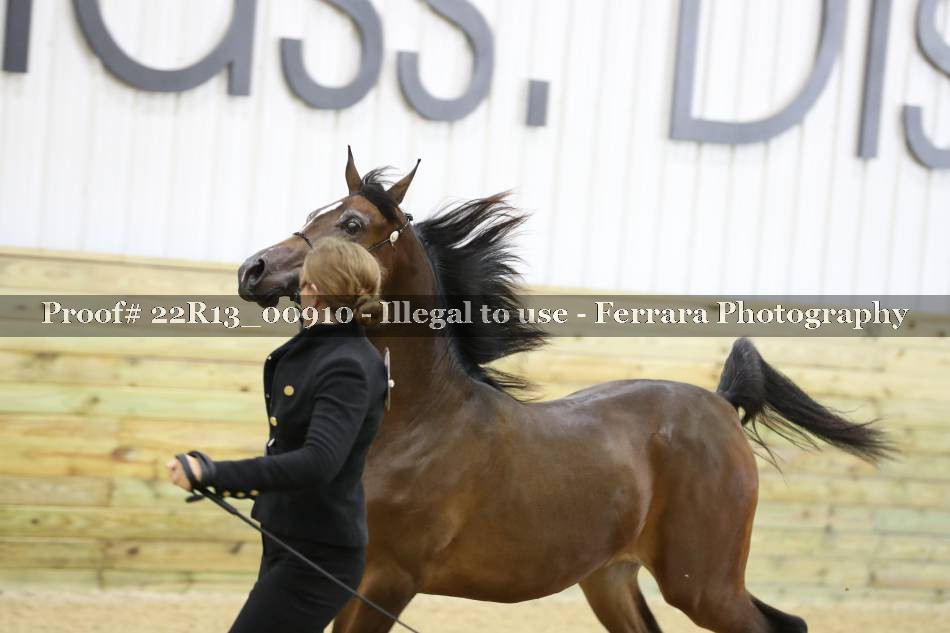 Proof 22R13_00910
