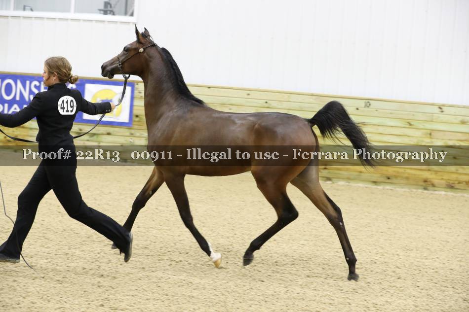 Proof 22R13_00911