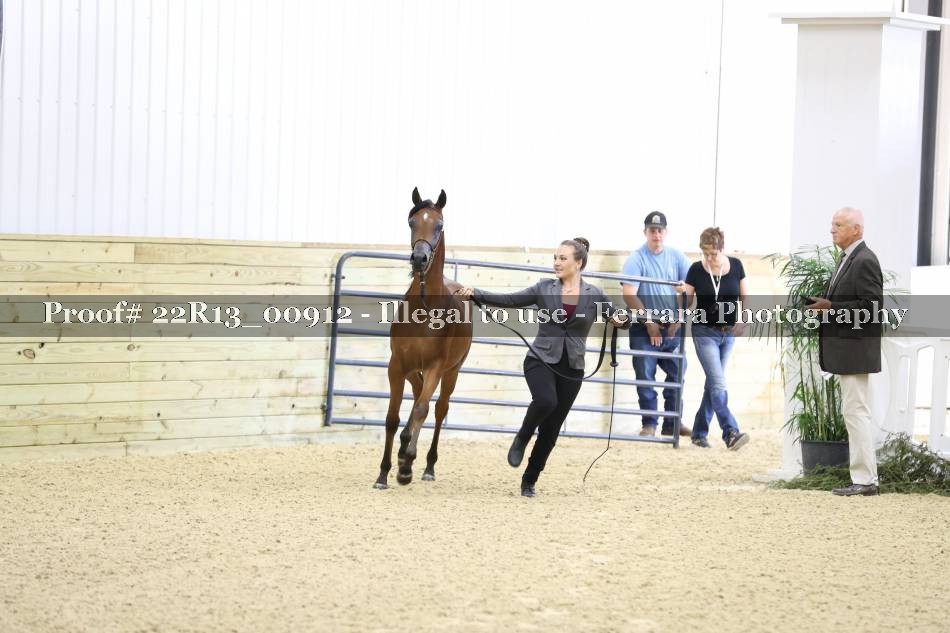 Proof 22R13_00912