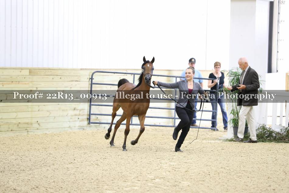 Proof 22R13_00913