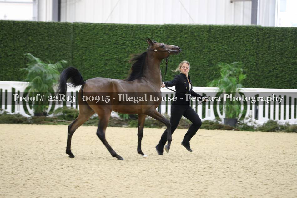 Proof 22R13_00915