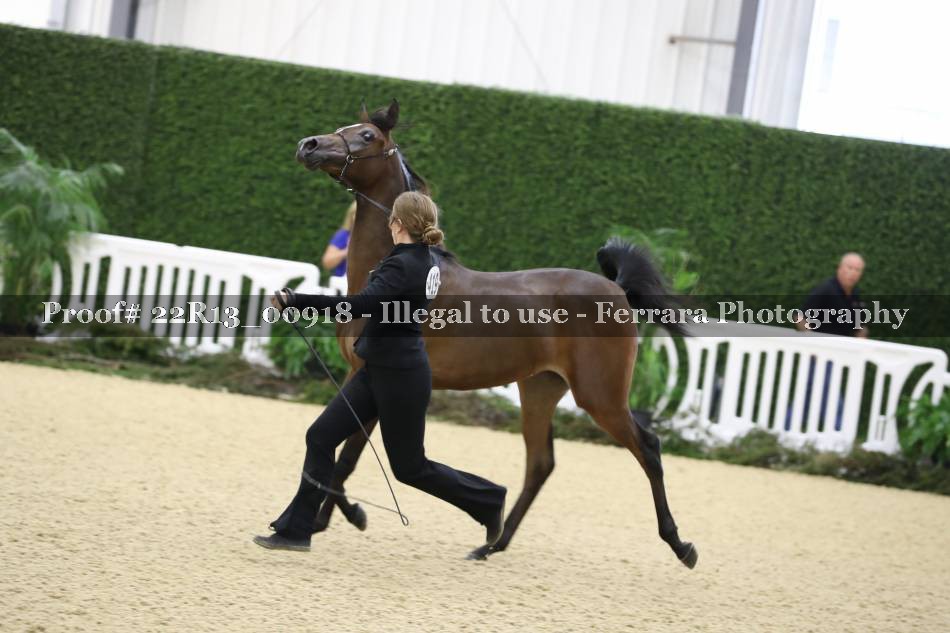 Proof 22R13_00918