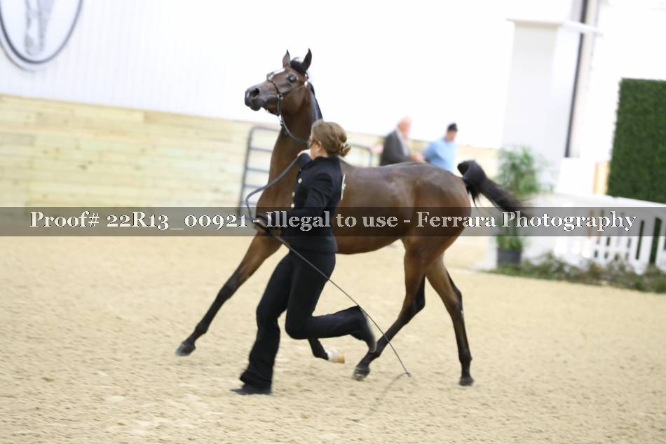 Proof 22R13_00921